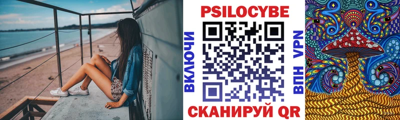 Псилоцибиновые грибы MAGIC MUSHROOMS  blacksprut сайт  Эртиль  наркотики 