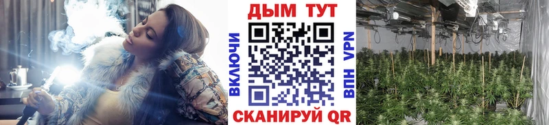Марихуана план  закладка  Эртиль 